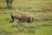 05-tanzania-43