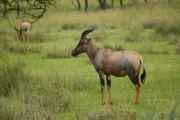 05-tanzania-44