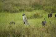 05-tanzania-46