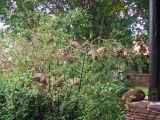 05-tanzania-47