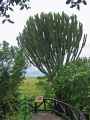 05-tanzania-50