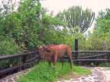 05-tanzania-51