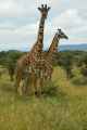 05-tanzania-53