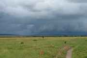 05-tanzania-57