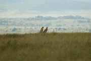 05-tanzania-59