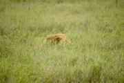 05-tanzania-61