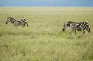 05-tanzania-62