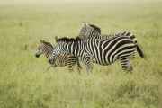 05-tanzania-64