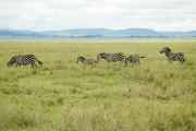 05-tanzania-65