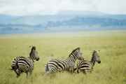 05-tanzania-66