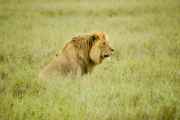 05-tanzania-67
