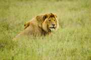 05-tanzania-68