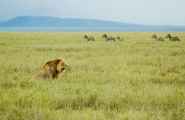 05-tanzania-69