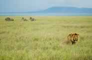 05-tanzania-70