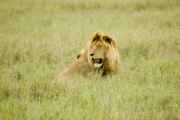05-tanzania-71