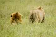 05-tanzania-72