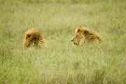 05-tanzania-73