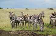 05-tanzania-76
