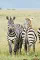 05-tanzania-77