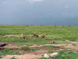 05-tanzania-79