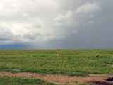 05-tanzania-80