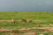 05-tanzania-81