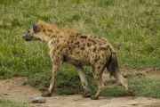 05-tanzania-82