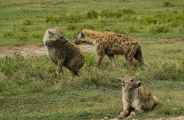 05-tanzania-83