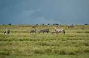 05-tanzania-84