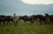 05-tanzania-89