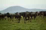 05-tanzania-90