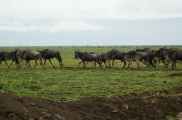 05-tanzania-92