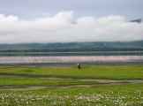 06-tanzania-10