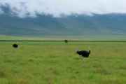 06-tanzania-11