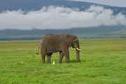 06-tanzania-13