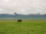 06-tanzania-16
