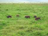 06-tanzania-18