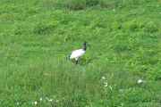 06-tanzania-20