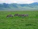 06-tanzania-21