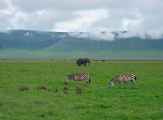 06-tanzania-23