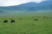 06-tanzania-24