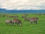 06-tanzania-25