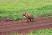 06-tanzania-26