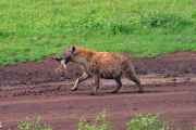 06-tanzania-27