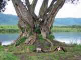 06-tanzania-28