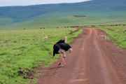06-tanzania-31