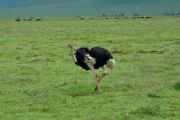 06-tanzania-33