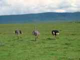 06-tanzania-34
