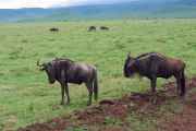 06-tanzania-35