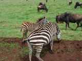 06-tanzania-36